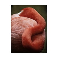 Zaštitni znak likovne umjetnosti Karipski Flamingo iz menija, ulje na platnu Debre van Sveringen