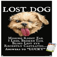 Jim Bolduin - zidni plakat izgubljenog psa, 22.375 34