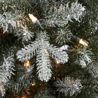Nacionalna tvrtka za božićno drvce u Australiji. Morganovo bijelo božićno drvce na ulazu sa svijetlim svjetlima