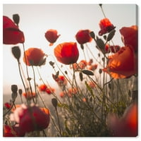 Wynwood Studio cvjetni i botanički zidni umjetnički tisak 'Secret Garden' Cvjetni, crveni, smeđi