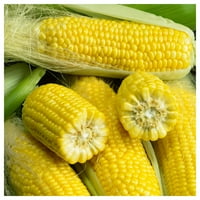 Sjeme slatkog kukuruza u kilogramu-paketić sjemena u rasutom stanju