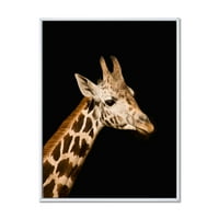 Izbliza portret žirafe na crnom IV uokvirenom fotografskom platnu umjetnički tisak