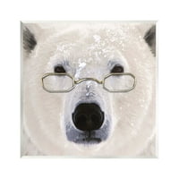 Stupell Snježni polarni medvjed naočale životinje i insekti Slikanje zidne plakete Umjetničke umjetnosti Umjetnička umjetnost