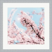 Oblaci cvjetanja trešnje Keri Bevan, uokvirena zidna umjetnost, 19,5 vata 19,5 h