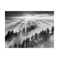 Zaštitni znak likovne umjetnosti 'Smoky Mountain Sunrise Tennessee Crno -bijelo' platno umjetnost Monte Nagler