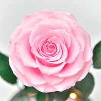 Dekor za Valentinovo kreativni cvijet ruže s LED svjetlima Pokloni za Valentinovo Romantični dekor od staklenih ruža