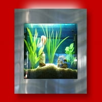 Australski akvariji zidni akvarij-kvadratni srebrni