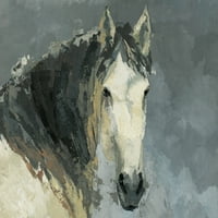 Ispis slike tamnokosi konj na omotanom platnu