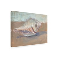Jennifer Stottle Taylor 'Conch' Canvas Art