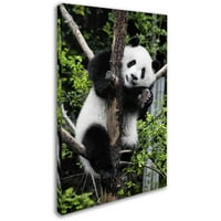 Zaštitni znak likovna umjetnost Giant Panda II Canvas Art by Philippe Hugonnard