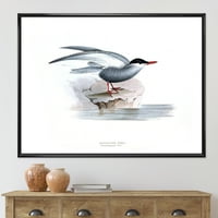Drevna ptica Europe, uokvirena slika, umjetnički tisak na platnu