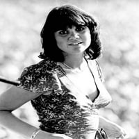 Linda Ronstadt, kultna figura iz 1970-ih, u uskoj ljetnoj haljini, nasmiješeni foto poster