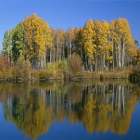 Oregon. Deschutes, Sjeverna Karolina, jesenje drveće jasike odražava se u Rijeci Deschutes. Ispis plakata Johna Bargera