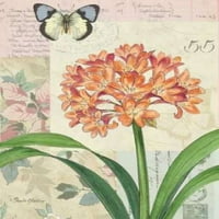 Plakat s cvjetnim kolažom od Pamele Gladding