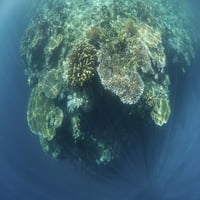 prekrasan koraljni greben uspijeva među slikovitim otocima Raja Ampat, Indonezija. Ispis plakata Ethana Danielsa