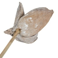 16 bijela isprana Sora mahuna pričvršćena na drvenu nogu. Uključuje stabljike u pakiranju, osušene