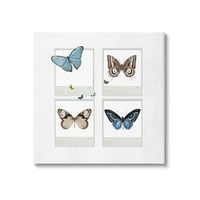 Stupell leptiri vintage film prirode životinje i insekti slikati galerija zamotana platna za tisak zidne umjetnosti