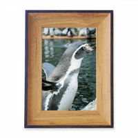 Priroda antarktički pingvin znanstvena slika fotookvir izložbena umjetnost stolno slikarstvo