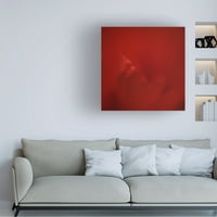 Lotte Gronkjar 'All Red' platno umjetnost