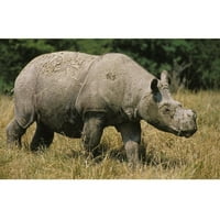 Realistična ploča od tkanine u obliku sumatranskog nosoroga