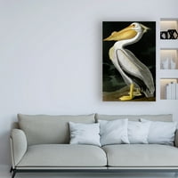 Zaštitni znak likovna umjetnost ornitologija platna zidna umjetnost 'American White Pelican' John James Audubon
