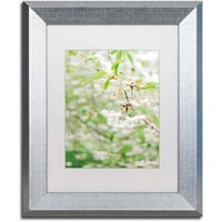 Zaštitni znak likovna umjetnost 'Cvjetaje bijele trešnje 2' Umjetnost platna Ariane Moshayedi, White Matte, Silver Frame