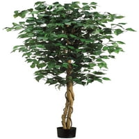 Park Place Ficus Tree u zeleno, 5 'visok