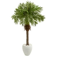 63 ”Robellini Palm Umjetno stablo u bijeloj plantaži