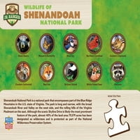 Remek-djela slagalice za djecu-Nacionalni park Shenandoah