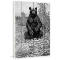 Marmont Hill Medvjed u sijenu bw Slikački tisak na bijelom drvetu