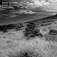 Patrick Cornelius - Am: Am-Vinil