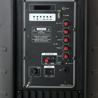 Prijenosni zvučnik u crnoj boji S 700-vatnim radio prijemnikom