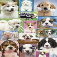 Keith Kimberlin - zidni poster štenci u mreži, 22.375 34