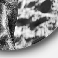 DesignArt 'Crno -bijeli portret španjolskog bika II' Farmhouse Circle Metal Wall Art - Disk od 23