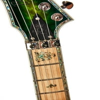 Bogate gitare Z proročanstvo Archtop Električna gitara s Floydom Roseom, reptile oko