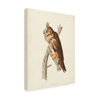 John James Audubon 'dugačka sova' platna umjetnost