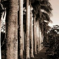 Kraljevske palme, Mauricijus ispis plakata Ćirila Bluea