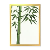 DesignArt 'detalj tamnozelenog bambusa na White III' tradicionalni uokvireni umjetnički tisak