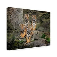Zaštitni znak likovne umjetnosti Malajski tigrovi u uljnoj boji platnena umjetnost iz mumbo-a