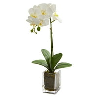 Gotovo prirodno 24 Orhideje Phalaenopsis Umjetni cvjetni aranžman u vazi, krema