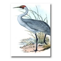 Drevne australske ptice v slikanje platna umjetnički tisak