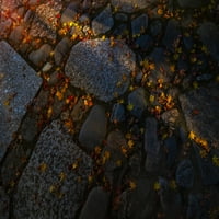 Kamena staza od otpalog javorovog lišća. Ispis plakata Sheile Haddad