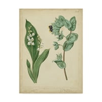 Zaštitni znak likovne umjetnosti 'Vikendica Florals IV' Canvas Art by Sydenham Edwards