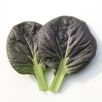 Sjeme kelja-Pak Choi-Crveni Tatsoi - hibrid-paketić mumbo ~ sjeme - ne-GMO, hibrid mumbo-azijsko vrtno povrće