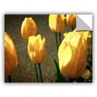 Artwall Kevin Calkins Žuti tulipani Artappealz Umjenjivi zidni umjetnost